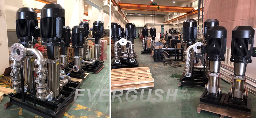 EVERGUSH ECDL Stainless Steel Vertical Multi-stage Pumps