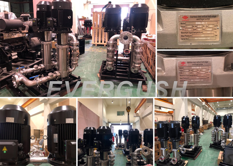 EVERGUSH ECDL Stainless Steel Vertical Multi-stage Centrifugal Pumps