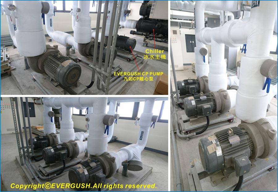 EVERGUSH CP-series Centrifugal Pump