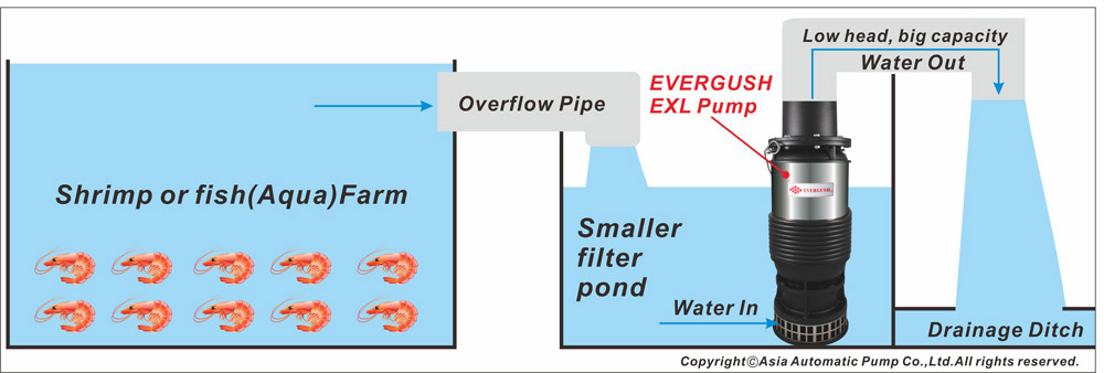 Applications of EVERGUSH EXL PUMPS-1