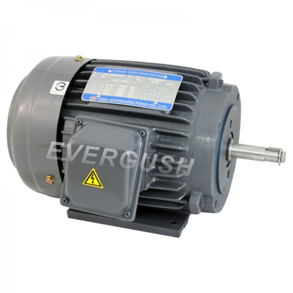 EVERGUSH Electric Motor(IEC Standard)